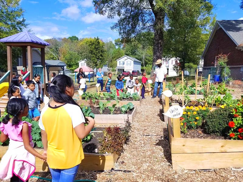 As Charlotte Baha’i garden takes root, other activities grow