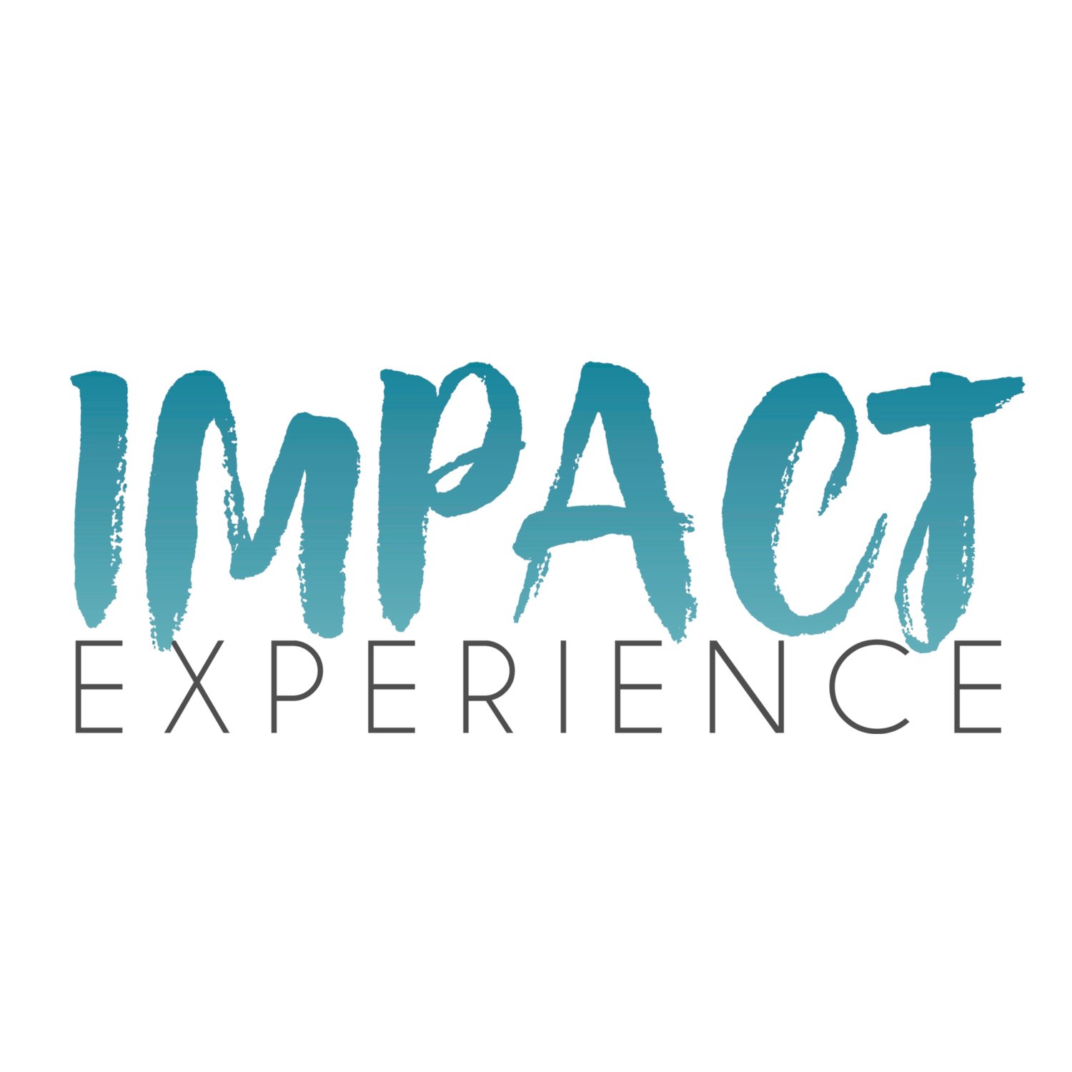 Impact Experience logo