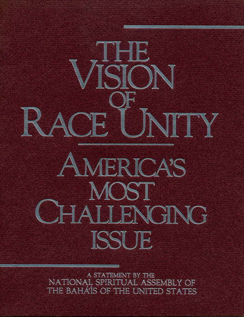The Vision of Race Unity Book Cover