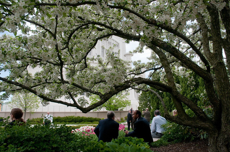 Delegates and visitors enjoy a brief moment in the sun before assembling for the convention photo. Photo by Eric van Zanten